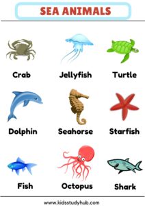 marine biology animals list