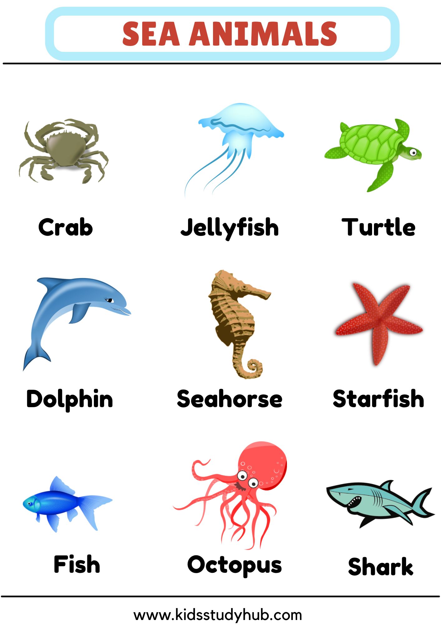 Sea Animals Chart And Worksheets