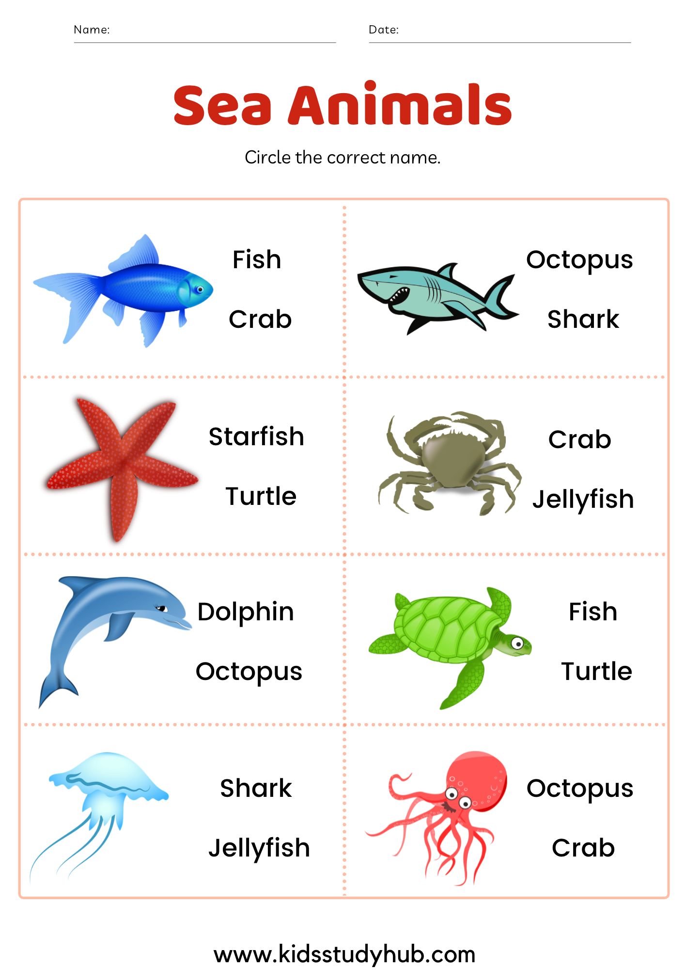 Sea Animals Chart And Worksheets