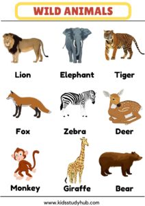 Wild Animals Charts and Worksheets